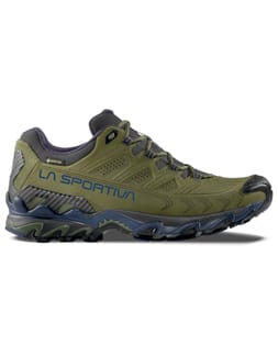 Ultra Raptor II Leather GTX Cypress/Night Sky