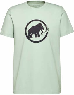 Mammut Core T-Shirt Men Classic Silver Sage