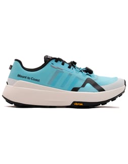 M1 W Glacier