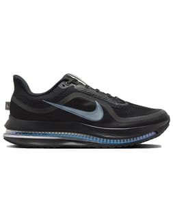 Nike Pegasus Premium Black/Black