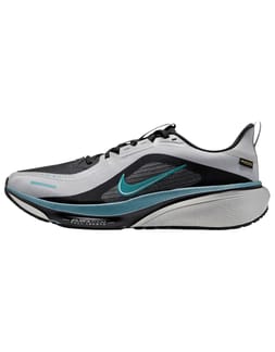 Nike Pegasus 42 GTX LT Smoke Grey/Bright Spruce