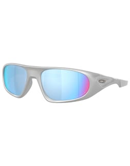 Neoforma X-Silver