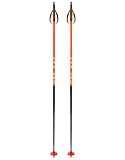 Tr Carbon Race