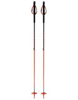 Tr Carbon Vario