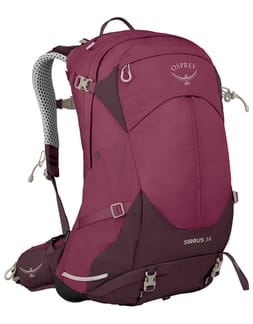 Sirrus 34 Elderberry Purple/Chiru Tan