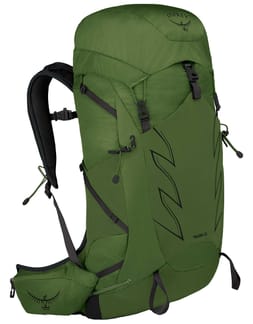 Talon 33 Green Belt/Black