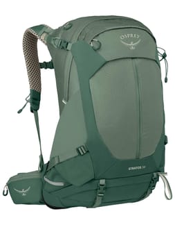 Stratos 34 Pine Leaf