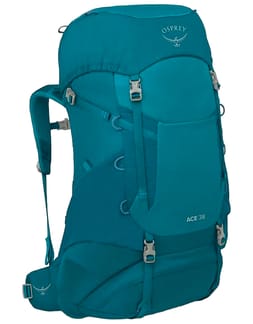 Ace 38 Blue Spikemoss/Deep
