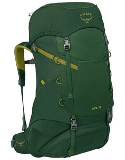 Ace 38 Green Canopy/Matcha