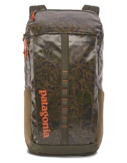Black Hole Pack 25L Lichen Basin Green