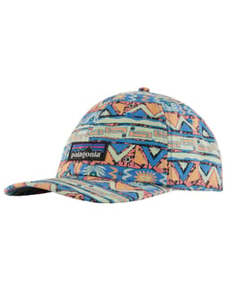 P-6 Label Trad Cap Salamander Green