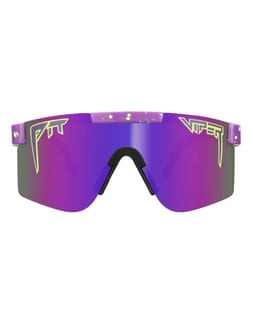 The Donatello Originals Polarized