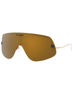 The Gold Standard Limousine Polarized