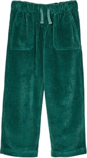 Cruiser Cord Pant Boys Forest