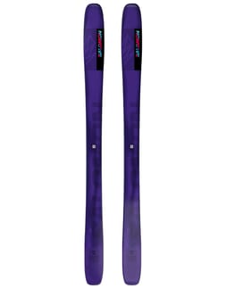 Qst 98 Tillandsia Purple/Pastel Neon Blue 2025