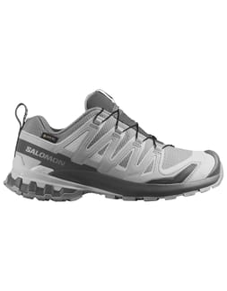 XA Pro 3D V9 GTX W Alloy/Castlerock