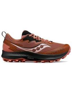 Peregrine 14 Gtx Clove / Black