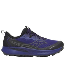 Peregrine 15 GTX Regal/Black