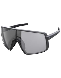 Torica LS Black Grey Light Sensitive