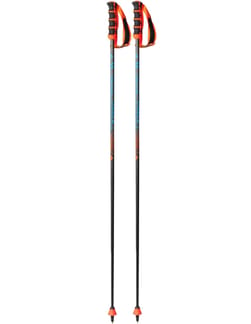 Vortex Carbon Gs