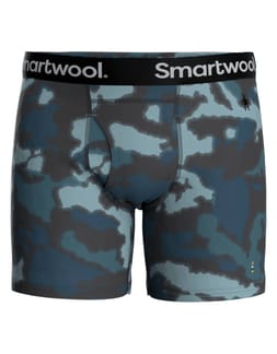 Merino 150 Print Boxer Brief Boxed Mist Bluebluredcmop