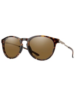 Wander Tortoise Chromapop Polarized Brown