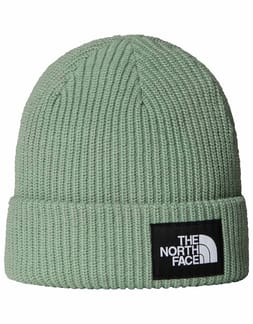 Salty Lined Beanie Slate Moss