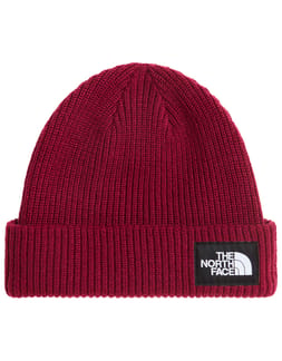 Salty Lined Beanie Burgundy Crush