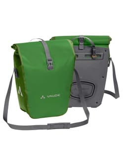 Aqua Back Parrot Green
