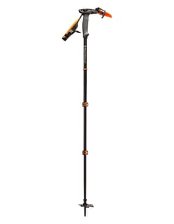 Whippet Pole 