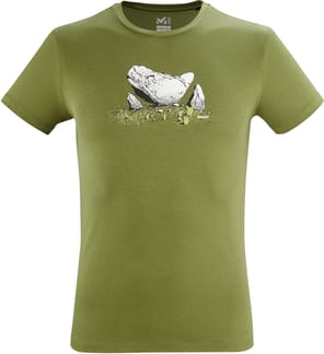 Boulder Dream TS SS M Fern