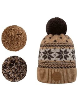 Summit Beanie Brown