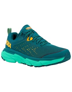 Challenger Atr 6 W Deep Teal / Water Garden