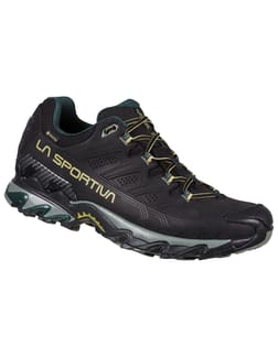 Ultra Raptor II Leather Wide GTX Black/Cedar