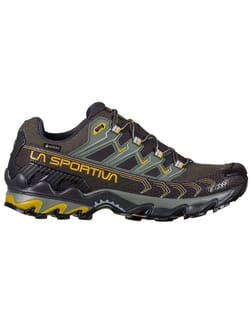 Ultra Raptor II Gtx Carbon/Moss