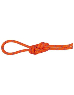 7.5 Alpine Sender Dry Rope Fire Blue