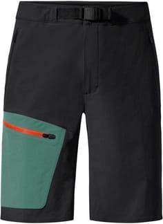 Men's Badile Shorts Pine Tree