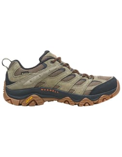 Moab 3 Gtx Olive/Gum
