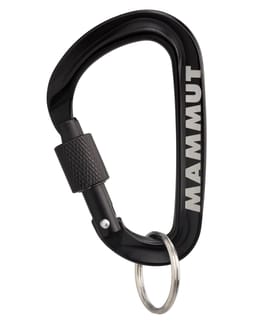 Mini Carabiner Workhorse Screwgate L Black