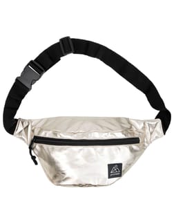 Prtniezna 24 Fannypack Metal
