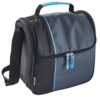Cool Bag with handle - Artic 8L