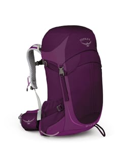 Sirrus 26 Purple