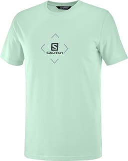 T-Shirt Salomon Cotton Tee M Harbor Grey/Ashley Blue/Ebony