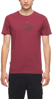 Teebs Organic Wine Red