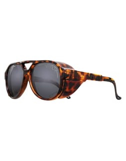 The Land Locked Exciter Polarized