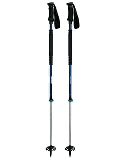 Thermo Ascent Ti 2