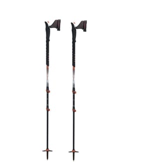 Trek Carbon 3M Swing
