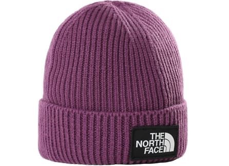 Youth Tnf Box Logo Cuff Beanie Pikes Purple