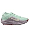 Nike ACG Pegasus Trail GTX W Barely Green/Light Bone + Nike ACG