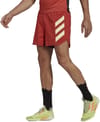 adidas + Agravic Short M Altamb - 6